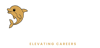 DT Logo _Transparent Cropped